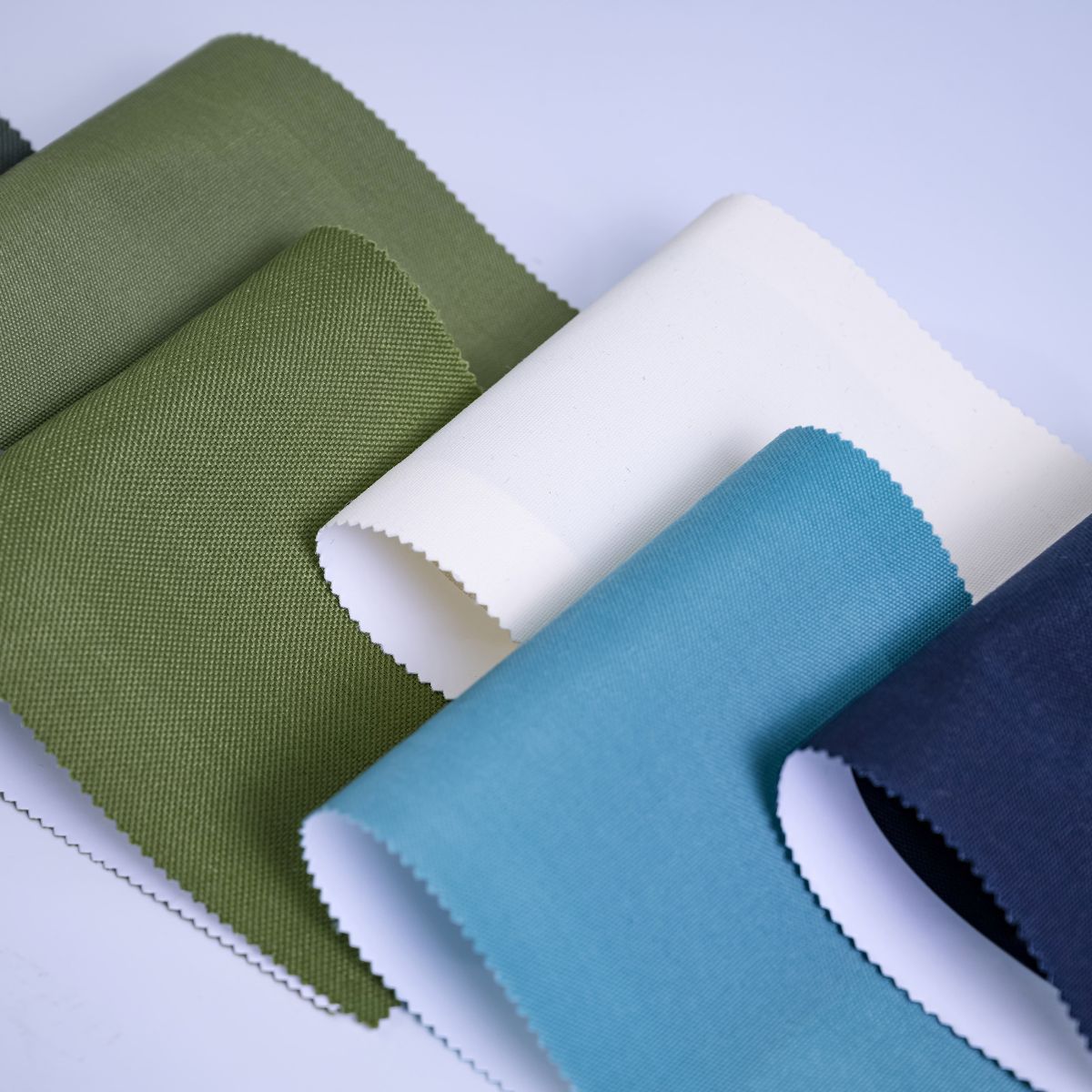 The Art of Curation: Formulas for Nature-Inspired Motifs